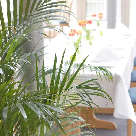 Hotel Alber