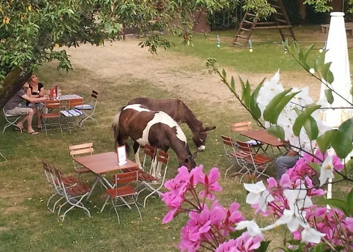 Alber Leinfelden-Echterdingen